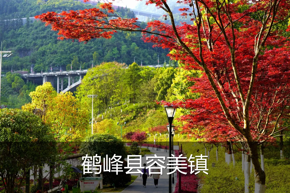 鹤峰县容美镇